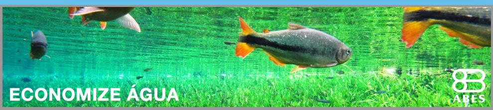 slideshow2
